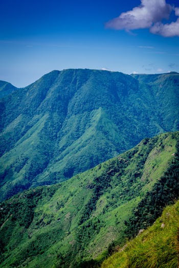 Landscape Photo of Mountain Surrounded by Trees