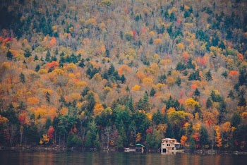 landscape photo of mountains full of trees near body of water during daytime