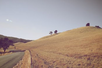 landscape photo of road beside field of grass