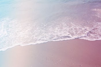 landscape photo of seashore