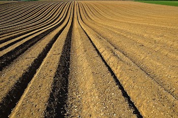 landscape photo of soil