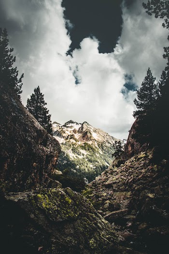 Landscape Photo of the Woods and Rocky Mountains