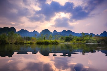 Landscape Photo of Trees and Body of Water