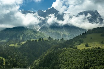 Landscape Photo of Trees and Mountain Ranges