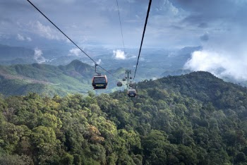 Landscape Photo of Trees and Mountains
