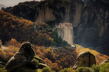 Landscape Photo of Trees on Mountain Near Cliff