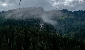 landscape photo of trees under cloudy sky during daytime