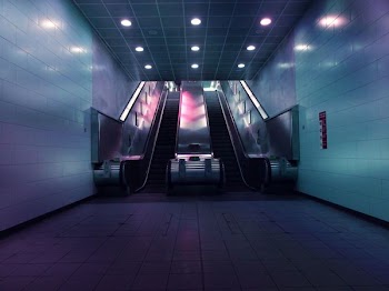 Landscape Photo of Two Escalators