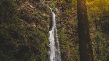 Landscape photo of waterfall in forest
