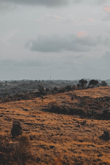 Landscape Photography