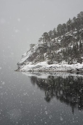landscape photography of alps mountain