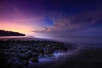 Landscape Photography of Beach Line