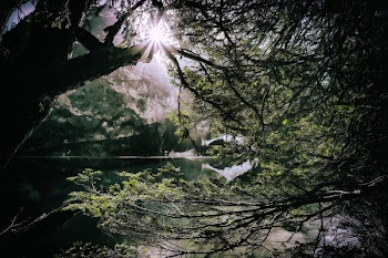Landscape Photography of Body of Water