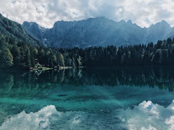 landscape photography of body of water near trees