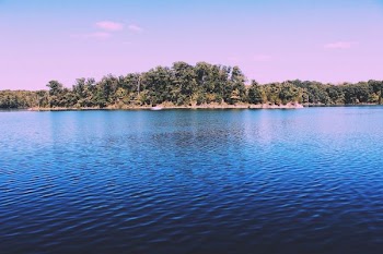 landscape photography of body of water with green trees beside