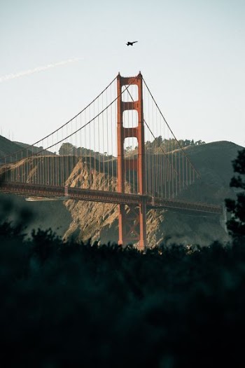 landscape photography of bridge near hills