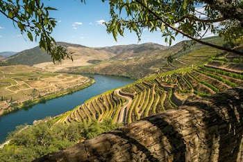Landscape Photography of Brown and Green Mountain Ranges