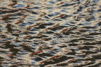 landscape photography of calm waters