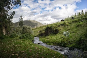 landscape photography of canal between hill surrounded by trees