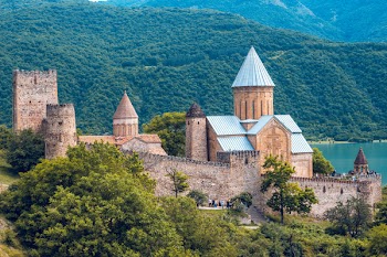 Landscape Photography of Castle Surrounded by Trees