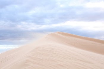 landscape photography of desert