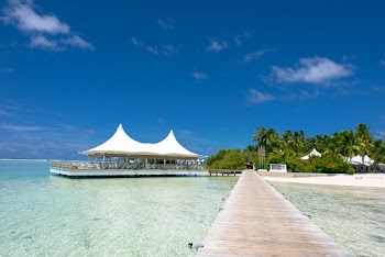 Landscape Photography of Dock