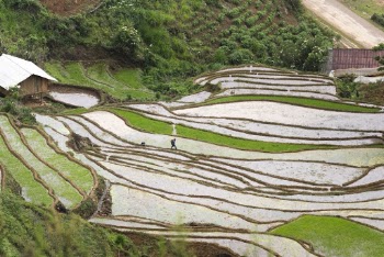 Landscape Photography of Field