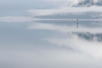 landscape photography of foggy body of water