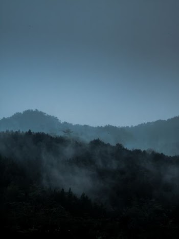 landscape photography of foggy mountain