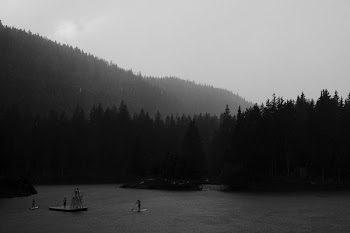 landscape photography of forest and river