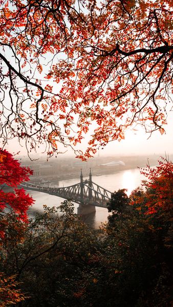 landscape photography of gray concrete bridge