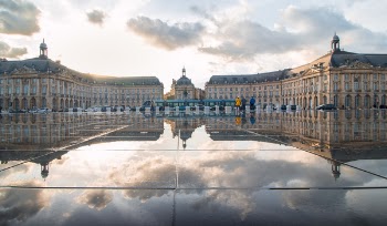 Landscape Photography of Green and Brown Palace