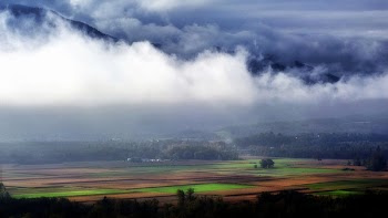 Landscape Photography of Green and Brown Rice Field Surrounded With White and Blue Clouds Near Black Mountains