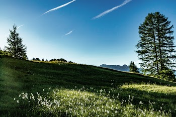 Landscape Photography of Green Field