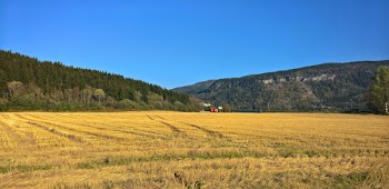 Landscape Photography of Green Fields