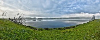 Landscape Photography of Green Grass