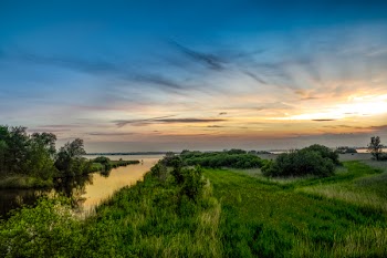 Landscape Photography of Green Grass and Sea