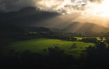 Landscape Photography Of Green Grass Field