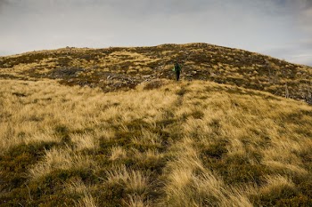 Landscape Photography of Green Grass Field