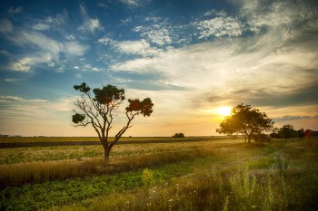 Landscape Photography of Green Grass Field
