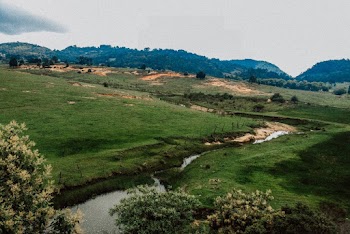 Landscape Photography of Green Grass Field