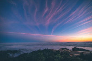 landscape photography of green lands during golden hour