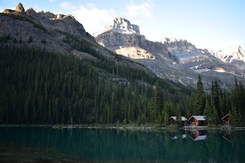 landscape photography of green mountain
