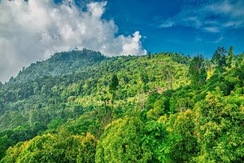 Landscape Photography of Green Mountain