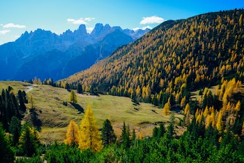 Landscape Photography of Green Mountains