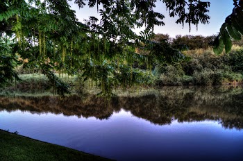 Landscape Photography of Green Trees and Body of Water