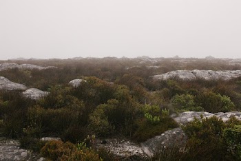 Landscape Photography of Hills And Green Trees