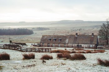 landscape photography of house