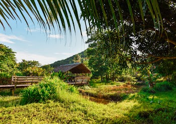 Landscape Photography of Hut Surrounded by Trees