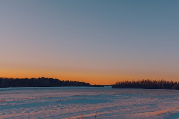 Landscape Photography of Icy Land